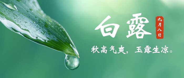 白露九月八日.jpg